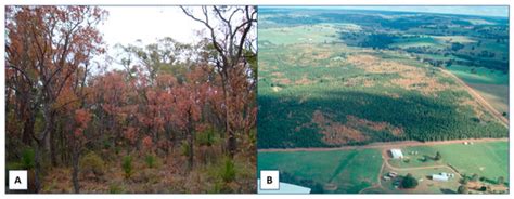 Remote Sensing | Special Issue : Remote Sensing for Agriculture ...