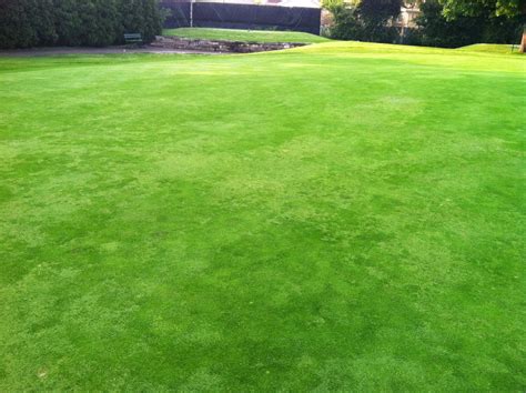 Ridgemoor Country Club Golf Course Maintenance: Before & After