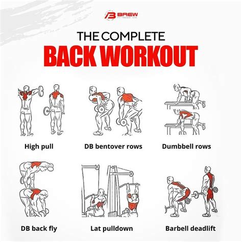 Image result for Workout Back Routine