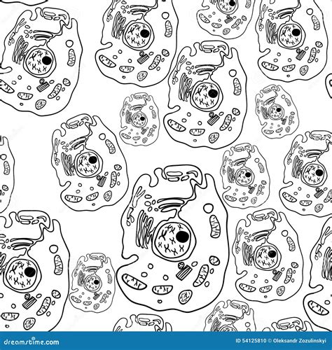 Paramecium Of The Phylum Ciliophora. Vector 1 | CartoonDealer.com #54125806