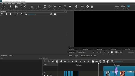 Image result for Shotcut Tutorial Tracks