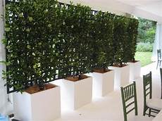 Privacy Plants by Privacy With Plants The Garden Glove Privacy Plants