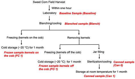 Effects of Blanching, Freezing and Canning on the Carbohydrates in ...