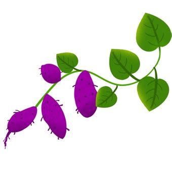 Make Connection in WebSocket JavaScript に対する画像結果