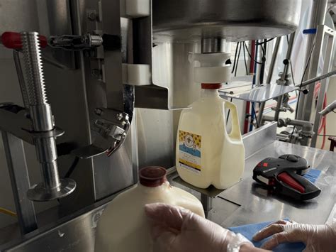 Myths about A2/A2 milk uncovered. Here's what you need to know. - Miller's Bio Farm
