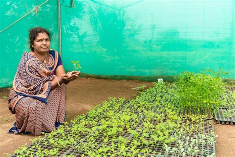 Image result for Sustainable Development Examples