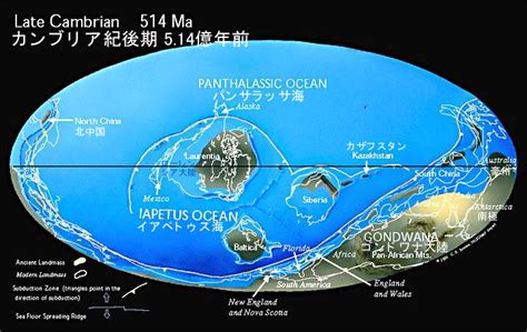 Image result for Hyper Realistic Java Map