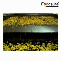 Breakfast Essentials Plant Setup Consultant | Foodsure