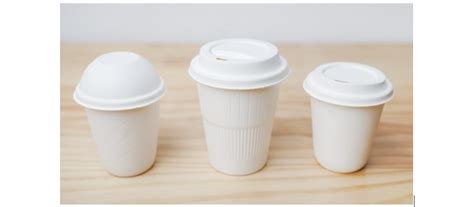 Biodegradable Food Containers 的图像结果