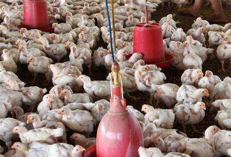 DTE Coverage: World Antimicrobial Awareness Week 2022