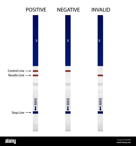 Negative And Positive Pregnancy Test