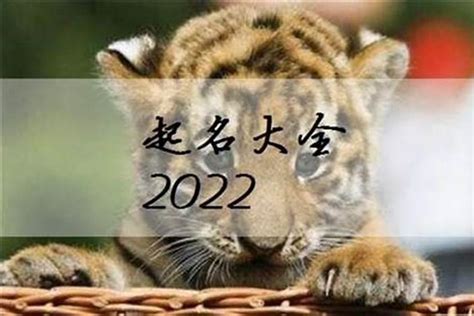 给宝宝取名字2023年属虎男孩名字，虎年宝宝怎么起名字好听_起名_若朴堂文化