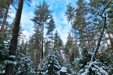Что посмотреть в Архызе зимой? Маршруты однодневных прогулок