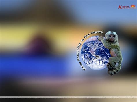 Think Of Saving Earth, Save Tree save Earth Wallpapers, Save Earth ...