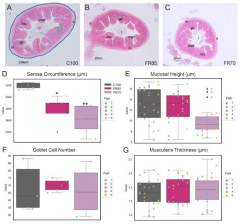Feed Restriction Modulates Growth, Gut Morphology and Gene Expression ...