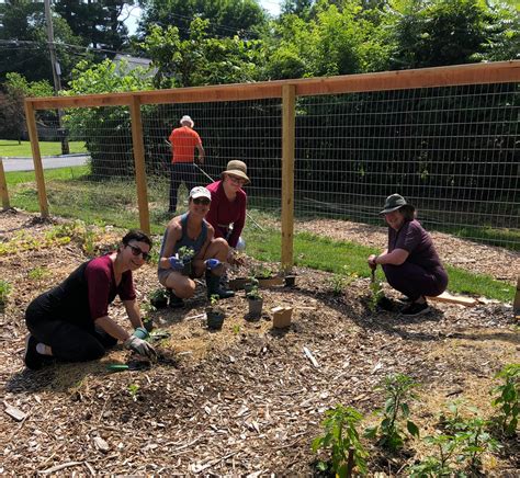 Common Ground Community Garden — Grow Local Greenwood Lake