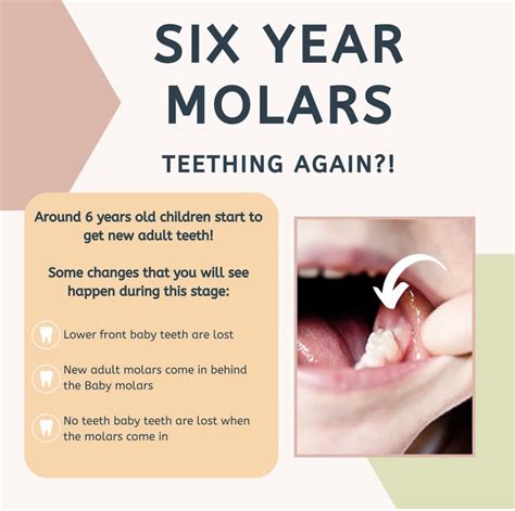 First Molar Symptoms