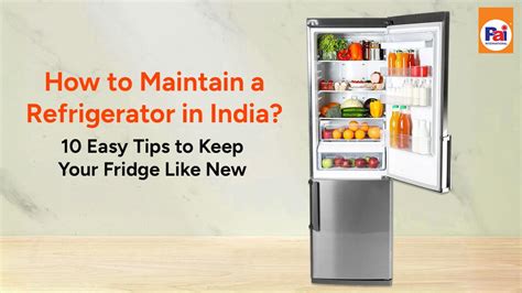 How to Maintain a Fridge in India? 10 Easy Tips (2025)