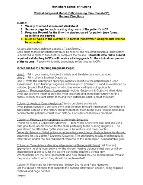 CJM Nursing Care Plan Directions 1 - Spring 2024 - Montefiore School of ...