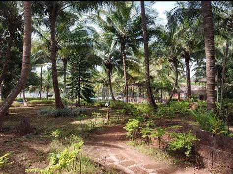SHANTAI BY THE LAKE (Guhagar, Maharashtra) - Hotel Reviews, Photos ...