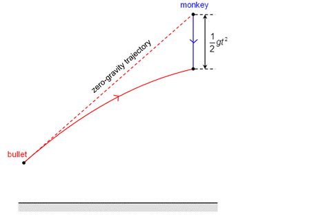 Image result for Projectile Motion Simple Diagram