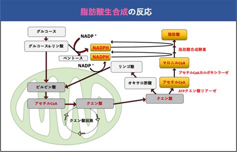 Image result for Data Structures Complexity