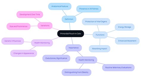 Understanding the Primordial Pouch Cat: Definition and Purpose | Jet ...