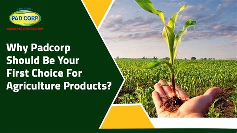 Why Padcorp Should Be Your First Choice For Agriculture Products?
