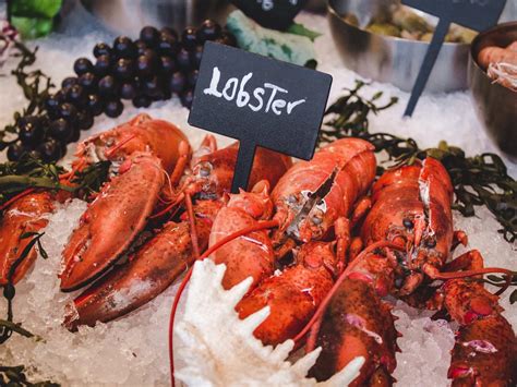 When is Lobster Season in Maine? Trip Plan With These Tips