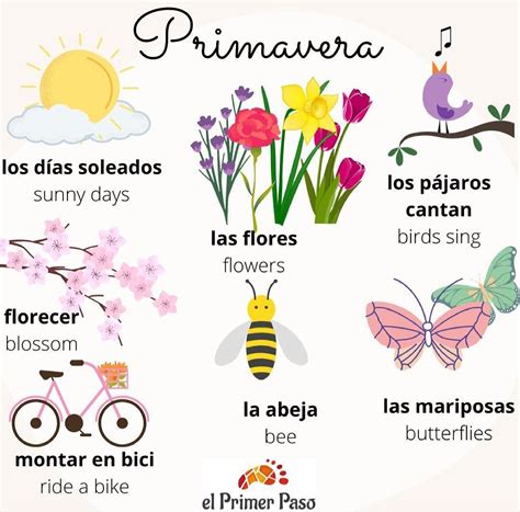 Spanish Language Poster with Flowers and Butterflies