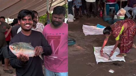 Pulasa Fish Record Price: రికార్డ్ ధర పలికిన పులస చేప, ఈ సీజన్లో ఇదే ...