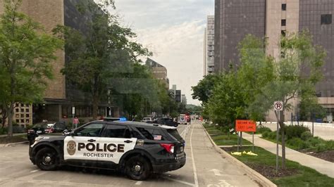 Beloved bobcat passes away at Oxbow Park and Zollman Zoo after nearly ...