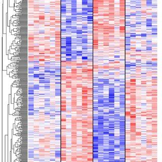 Image result for Heat Map Genetics