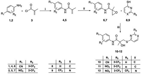 Synthesis and Biological Evaluation of Bicalutamide Analogues for the ...
