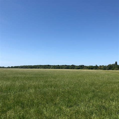 HEMINGFORD GREY MEADOW (2024) All You Need to Know BEFORE You Go (with ...