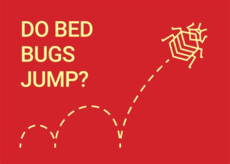 Can Bed Bugs Jump