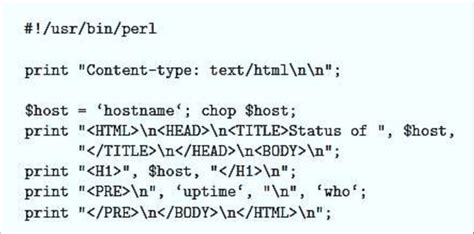 Image result for CGI Perl Script