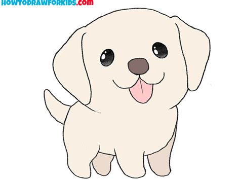 Image result for Labrador Drawing Tutorial