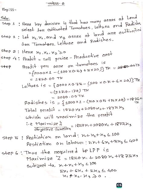 Linear Programming Examples PDF 的图像结果