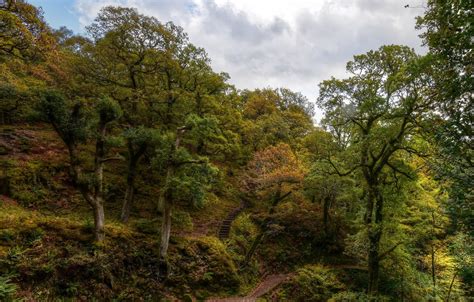 Wallpaper clouds, trees, England, trail, hill, ladder, Dockray for ...