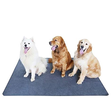 Amazon.in Bestsellers: The most popular items in Reusable Dog Training Pads