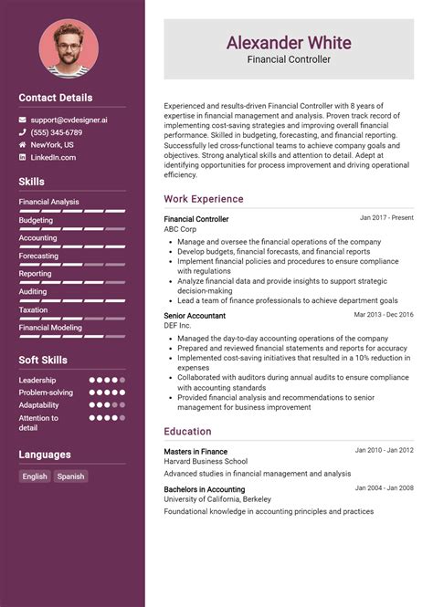 Image result for Controller Resume Examples