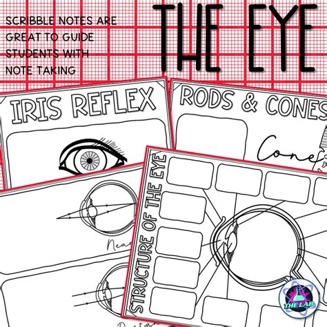 Image result for Eye Level Notes