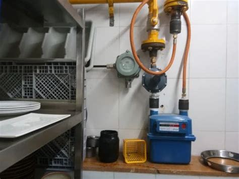 Gas Detector - LPG Gas Detector Manufacturer from Pune