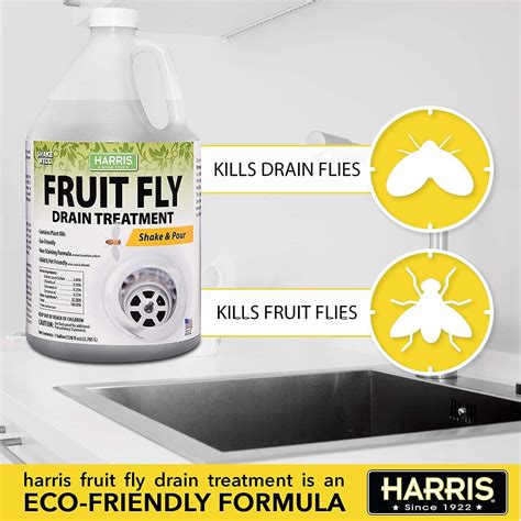 Harris Fruit Fly Drain Treatment Gel - Indoor 128oz Fruit Fly Killer ...