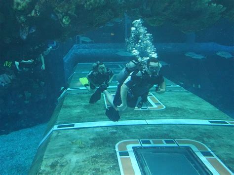 EPCOT DIVEQUEST (2026) All You Need to Know BEFORE You Go (w/ Reviews ...