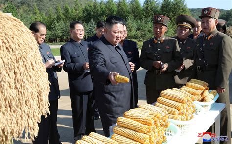 Why North Korea is facing a major food shortage that could lead to the ...