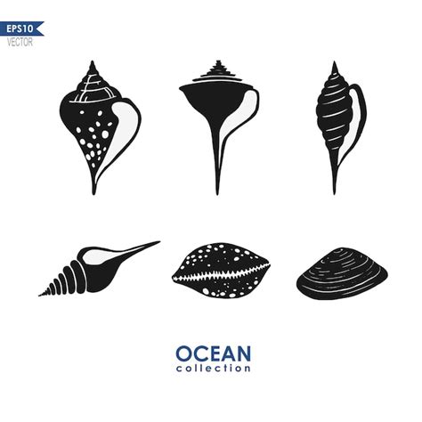 Seashells isolated on white vector illustration with shell silhouette ...