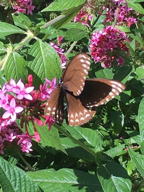 Beginners Photography Class, Miami Zoo, Miami Springs, 22 March 2024 ...