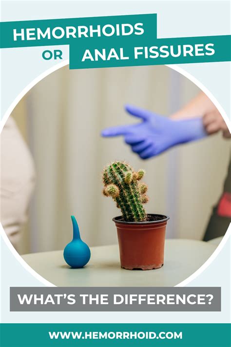 Anal Fissure Or Hemorrhoid